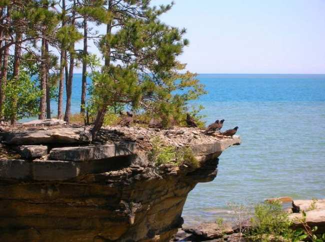 Необычный островок Turnip Rock (ФОТО)