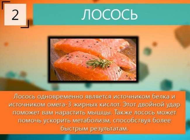 10 самых лучших продуктов для роста мышц (ФОТО)